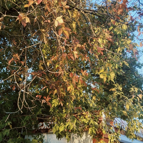 Photo #14112865