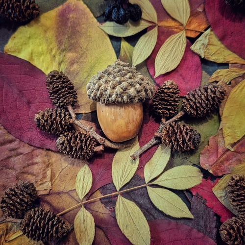 Photo #14112932