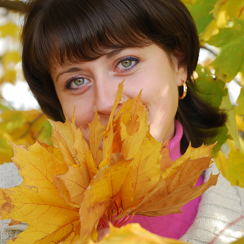 Photo #14112945