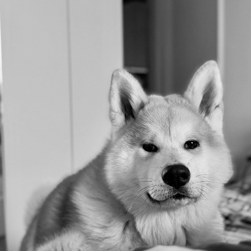 Photo #14112957