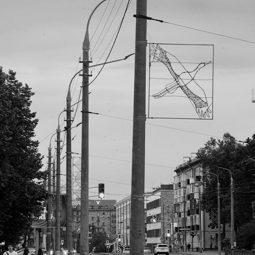 Photo #14112959