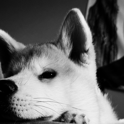 Photo #14112961
