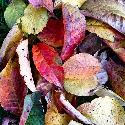 Photo #14112962