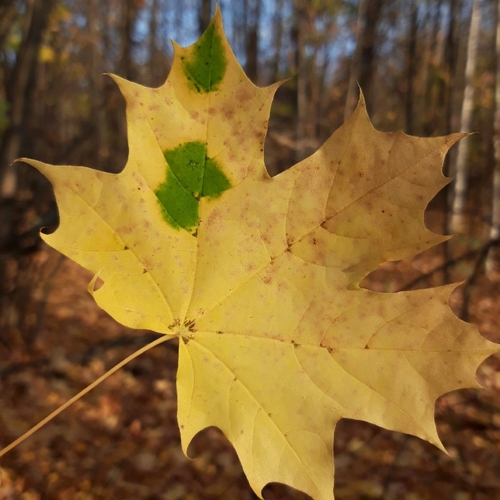 Photo #14112996