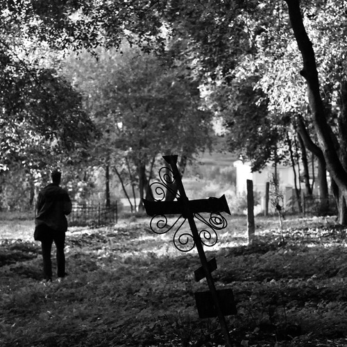 Photo #14113009