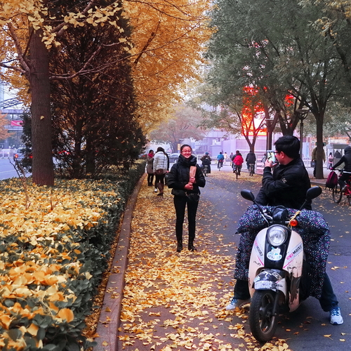 Photo #14113063