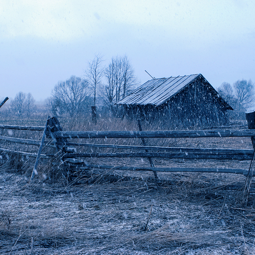 Photo #14113075