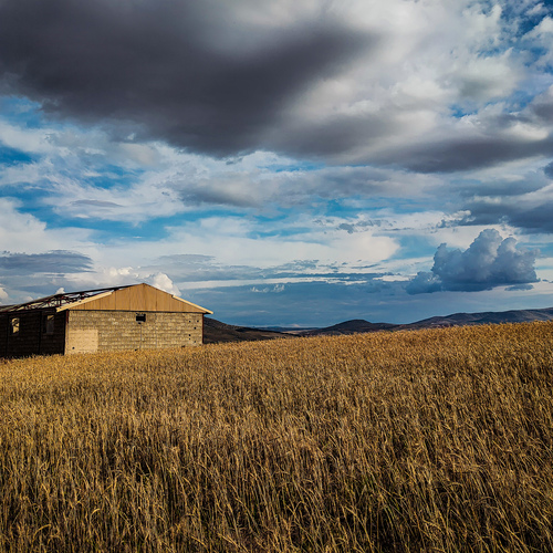 Photo #14113124