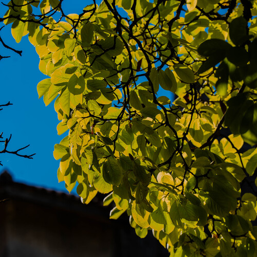 Photo #14113144