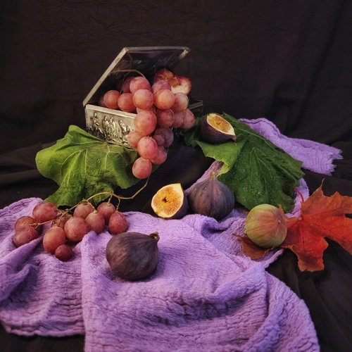 Photo #14113232
