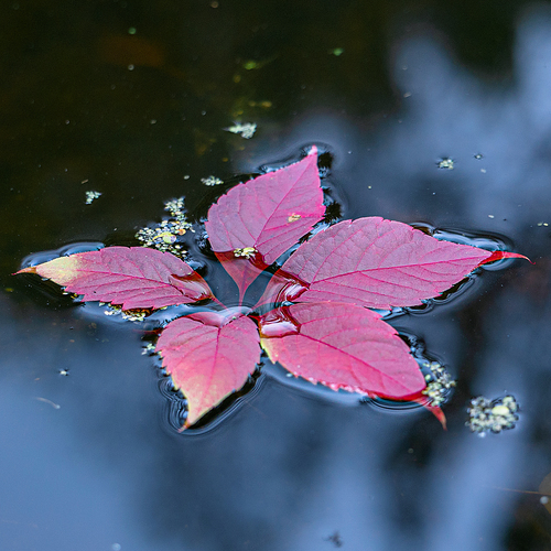 Photo #14113354