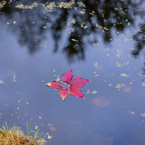 Photo #14113356