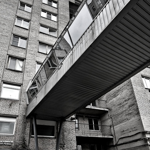 Photo #14113390