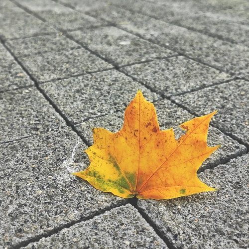 Photo #14113416