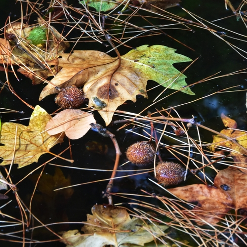 Photo #14113435