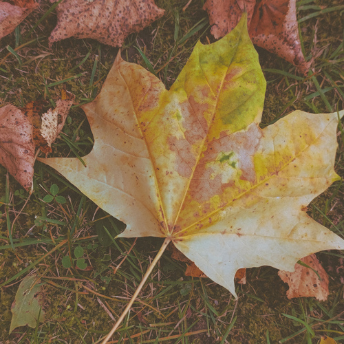 Photo #14113547