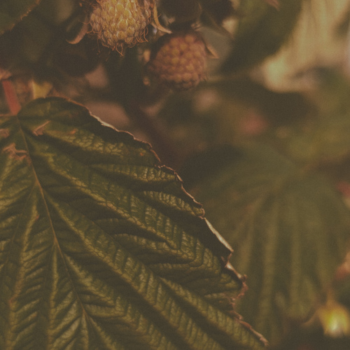 Photo #14113580