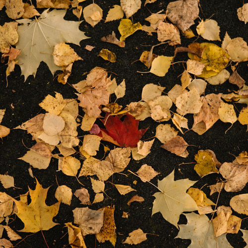 Photo #14113634