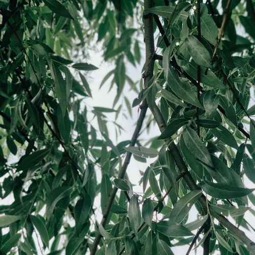Photo #14113749