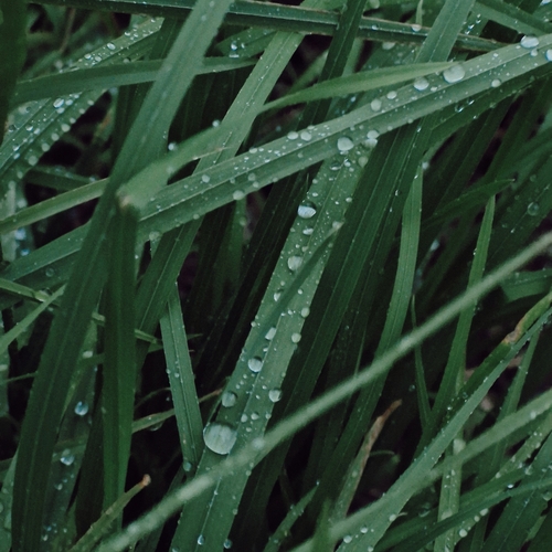 Photo #14113750