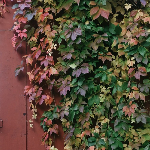 Photo #14113755