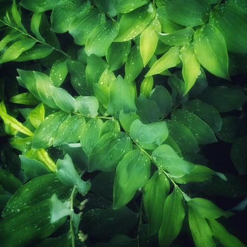 Photo #14113758