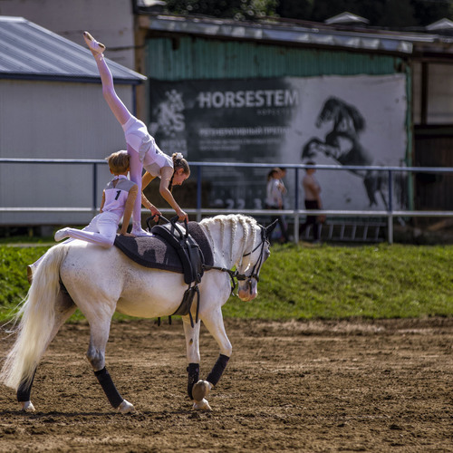 Photo #14113795