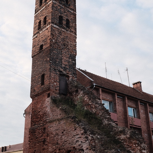 Photo #14113900