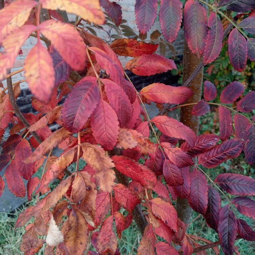 Photo #14113908
