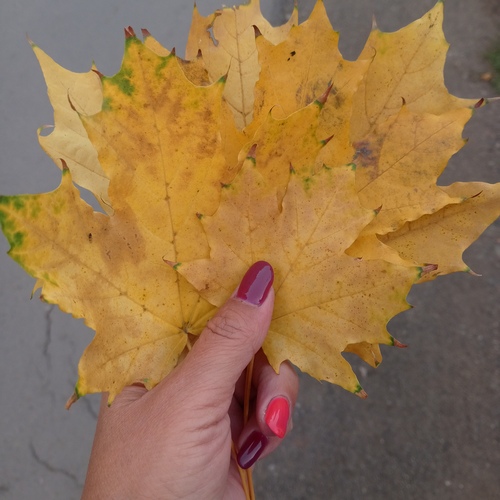 Photo #14113909