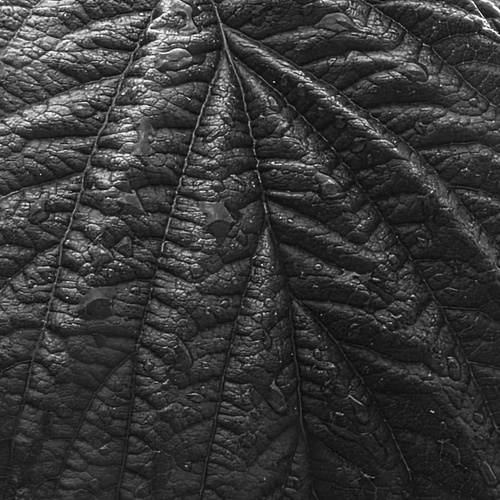 Photo #14113929