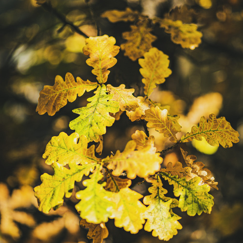 Photo #14114035