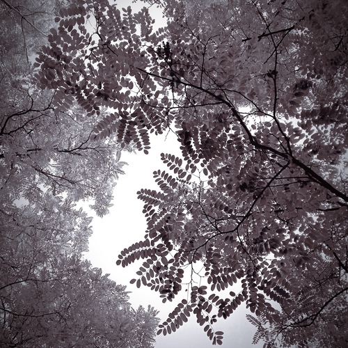 Photo #14114054