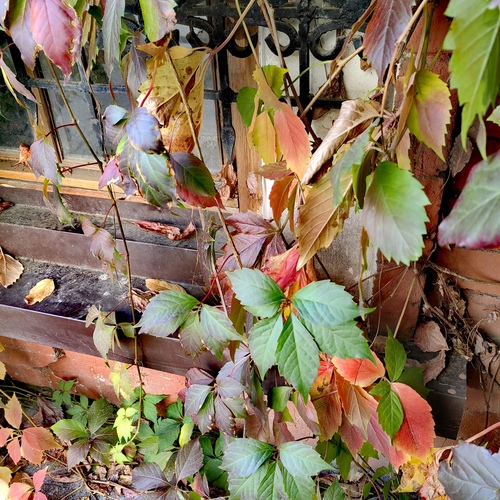 Photo #14114058