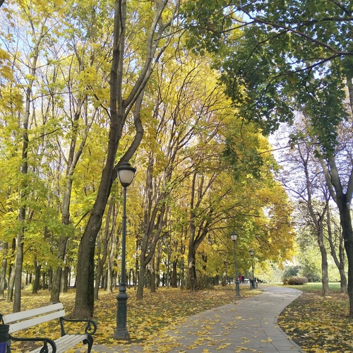 Photo #14114086