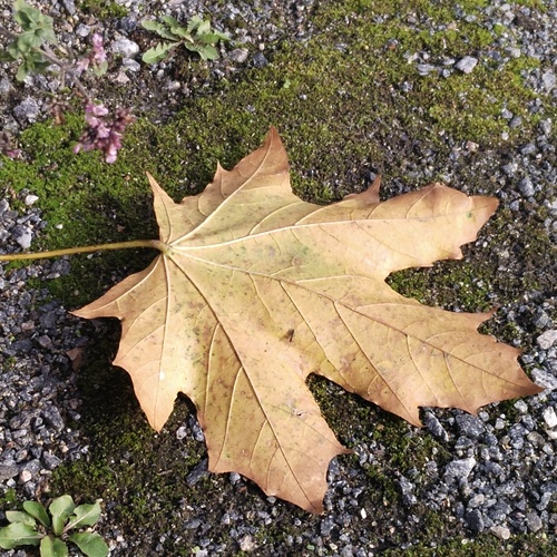 Photo #14114100