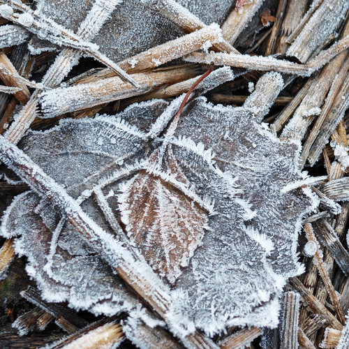 Photo #14114252