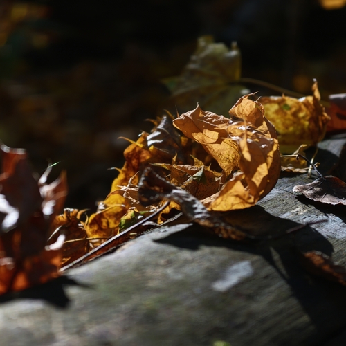 Photo #14114341