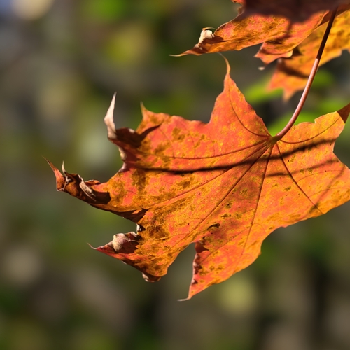 Photo #14114342