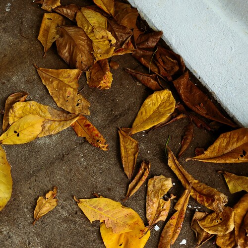 Photo #14114388