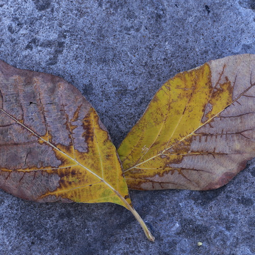 Photo #14114436