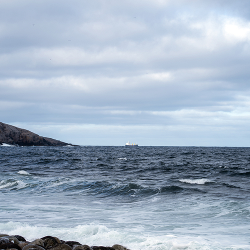 Photo #14114447