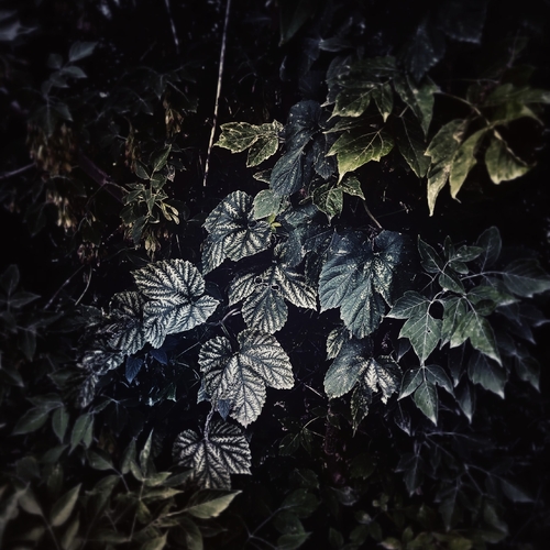 Photo #14114533