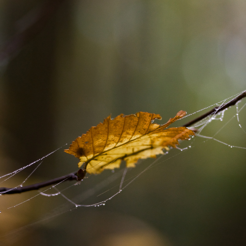 Photo #14114594