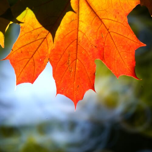 Photo #14114664