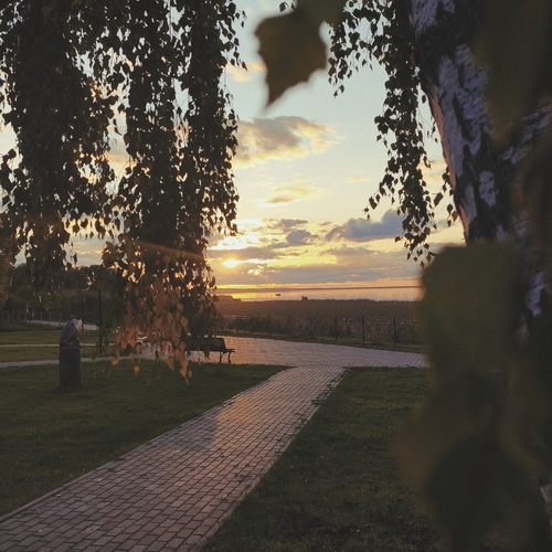 Photo #14114713
