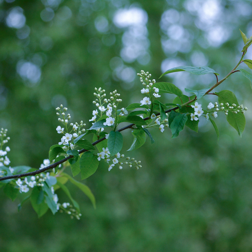 Photo #14114798