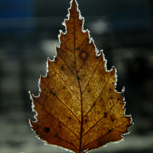 Photo #14114857