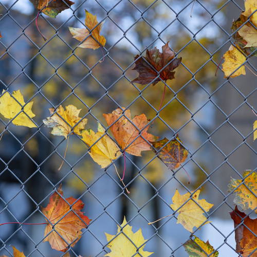 Photo #14114885