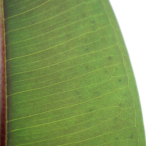 Photo #14114929